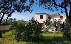House Mia